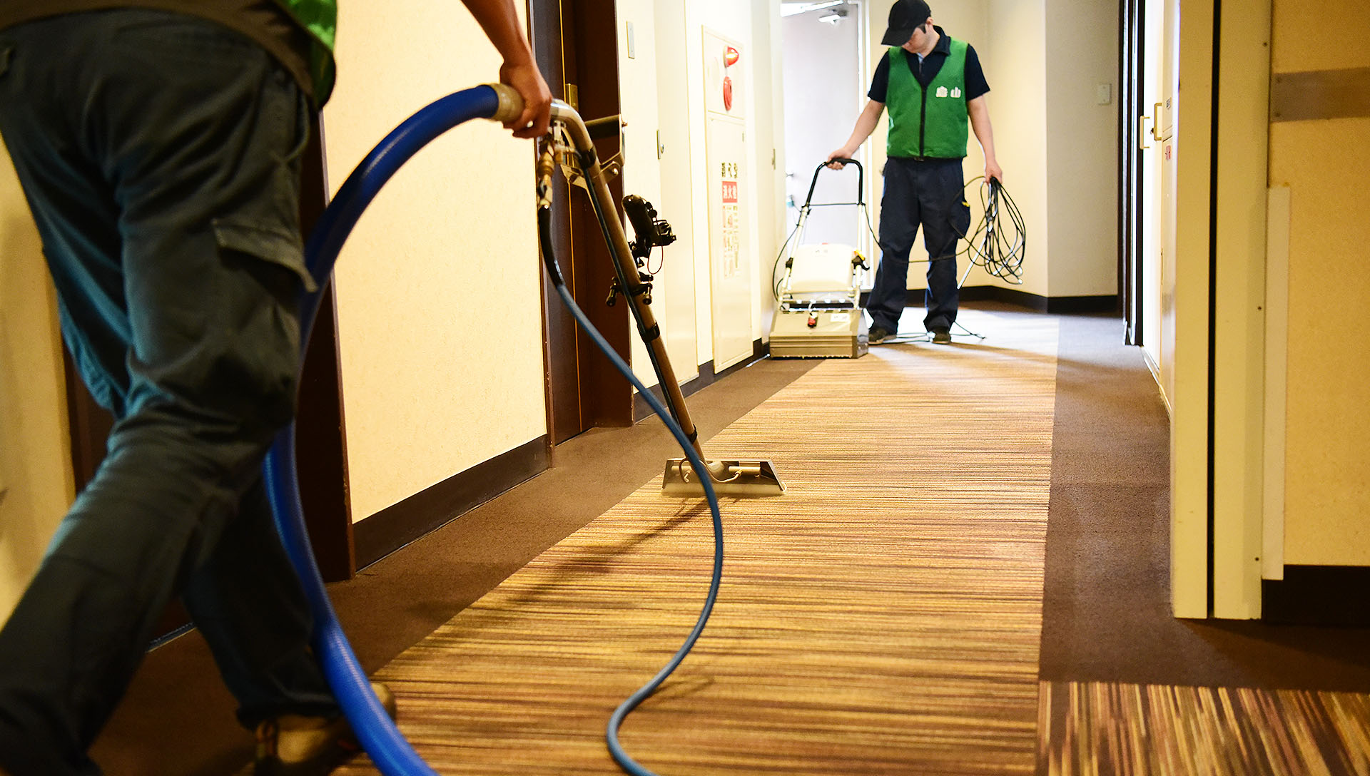 カーペット洗浄作業