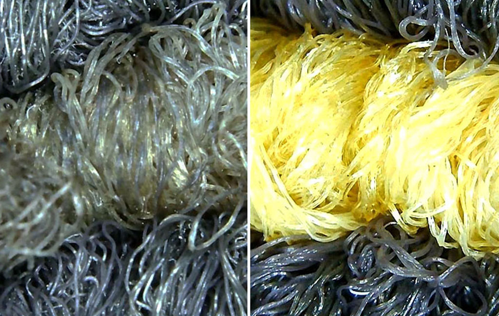 カーペットクリーニングのマイクロスコープ撮影