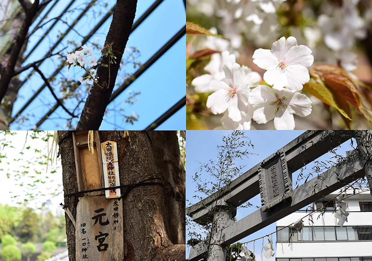 烏山の賃貸物件